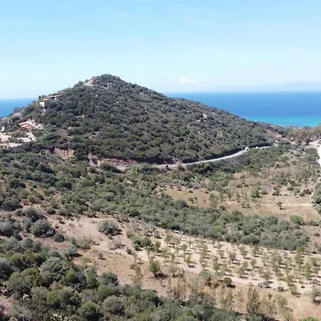 Almond House Vacation Ever *