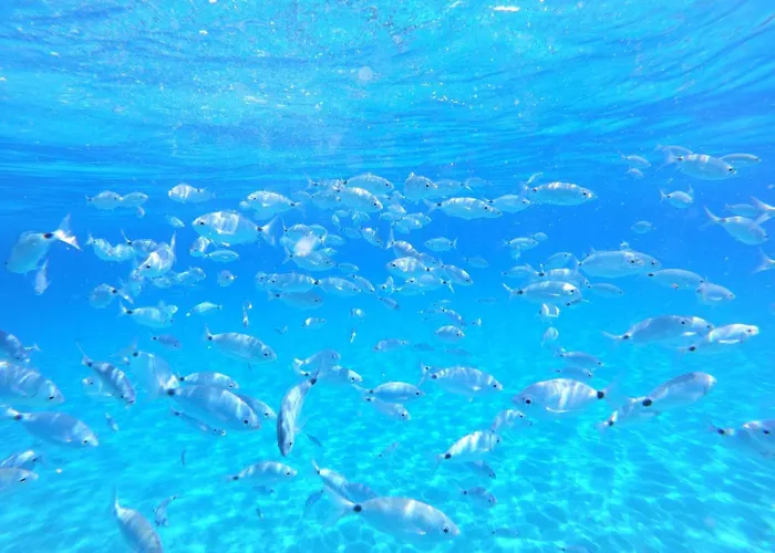 Almond House Vacation Ever Marongiu